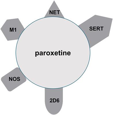 National patterns of paroxetine use among US Medicare patients from 2015–2020